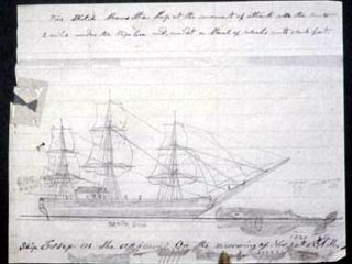 The Sinking of the Essex was the Real Moby Dick