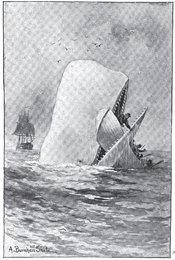 Moby Dick Moby Dick