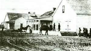 Supposed Camel Corps camel at an unknown location